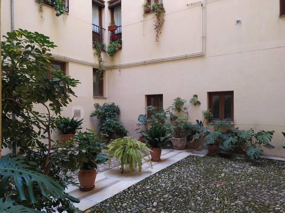 4 Balconies House, Central And Near The Alhambra Granada Buitenkant foto